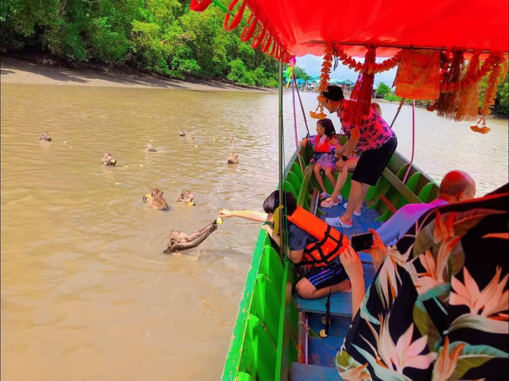 Khlong Khon Mangrove Forest