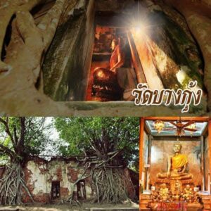 Day trip services (morning to evening) within the area, airport transfers from Bangkok, and nationwide delivery throughout Thailand. 1500฿